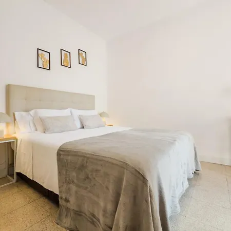 Novus Homes Barcelona Collblanc ロスピタレート・デ・リョブレガート