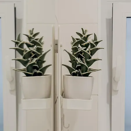 アパート Novus Homes Barcelona Collblanc ロスピタレート・デ・リョブレガート